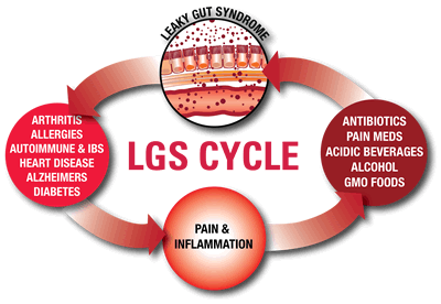 lgs_cycle