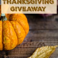 $1200 Thanksgiving Giveaway! Ends 11/25