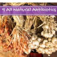 9 All Natural Antibiotics
