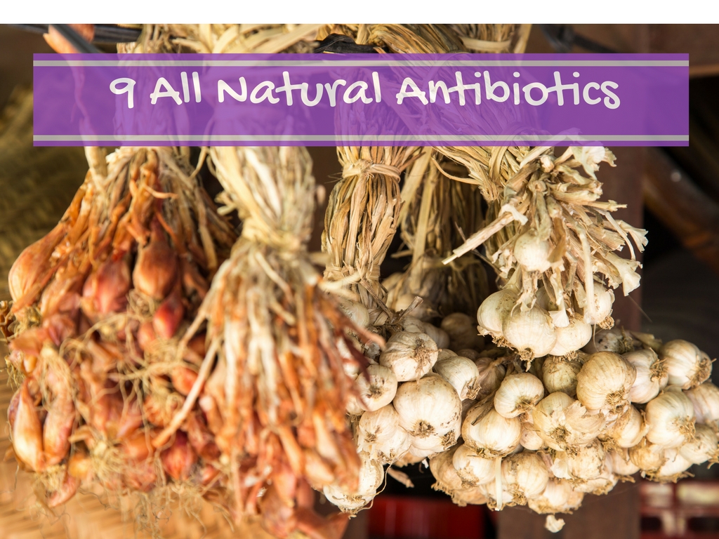 9-all-natural-antibiotics