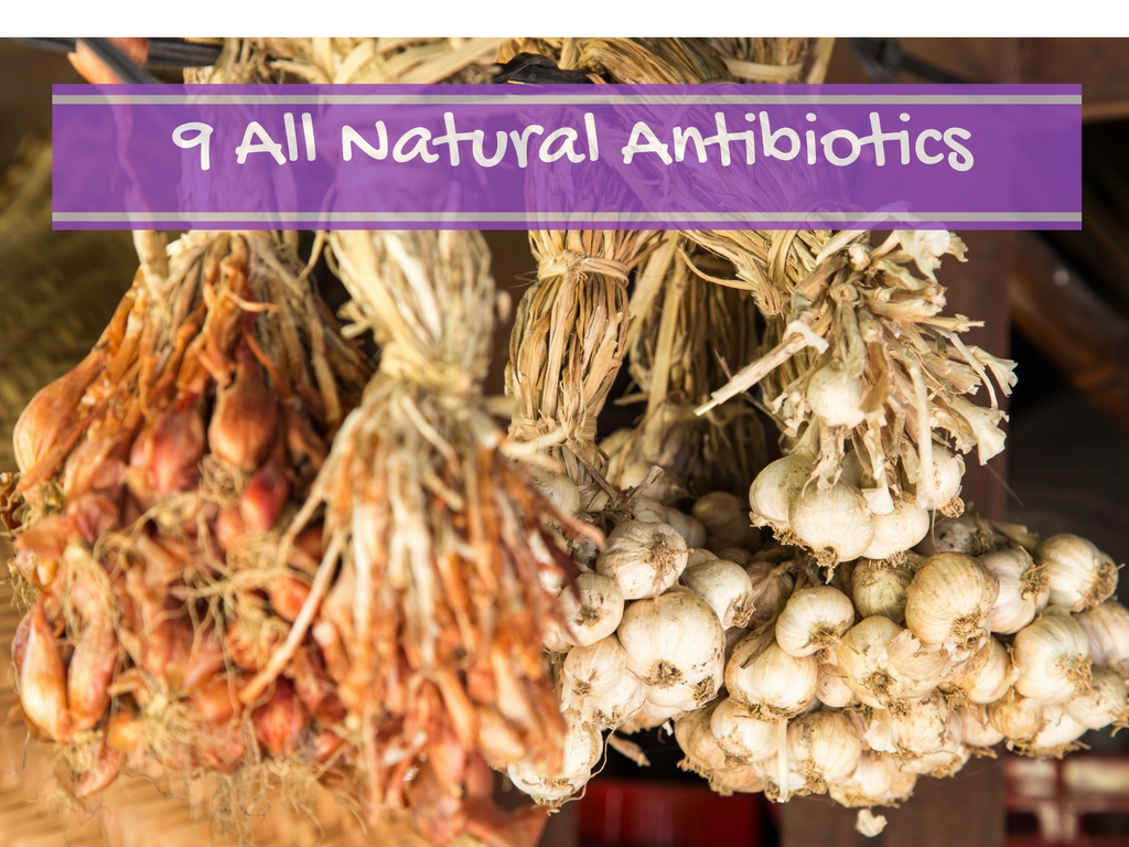 9 All Natural Antibiotics