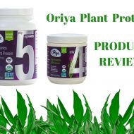 Tropical Breakfast Protein Smoothie with Oriya Organics Plant Protein