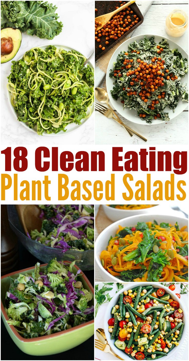 18 Clean Eating Plant Based Salad Recipes