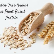Gluten Free Grains for Plant Based Protein