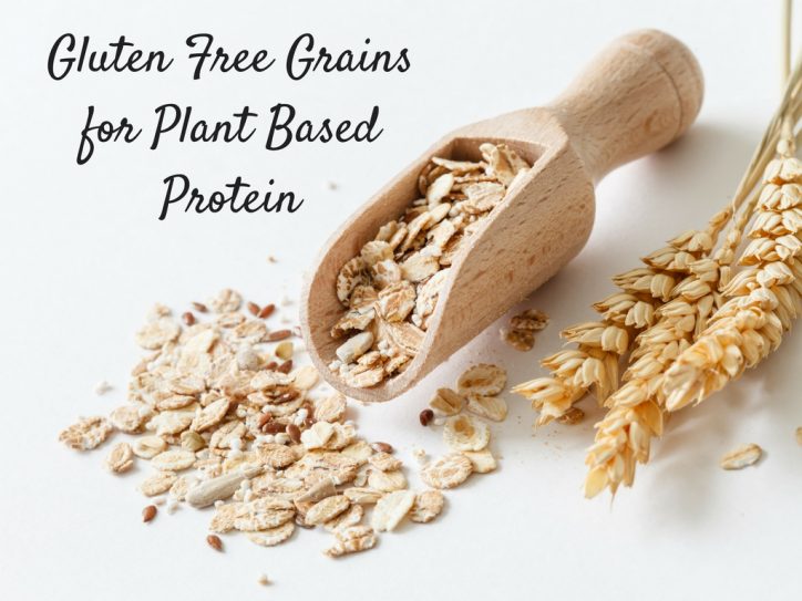 Gluten Free Grains for Plant Based Protein
