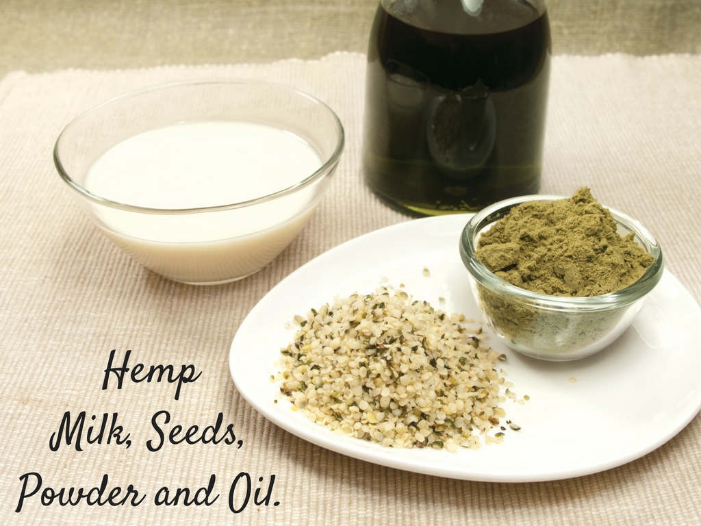 10 Plant Based Protein Sources