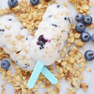 Banana Berry Granola Frozen Treats