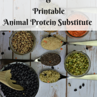 How to Get Adequate Plant-Based Protein, Animal Protein Substitute Printable