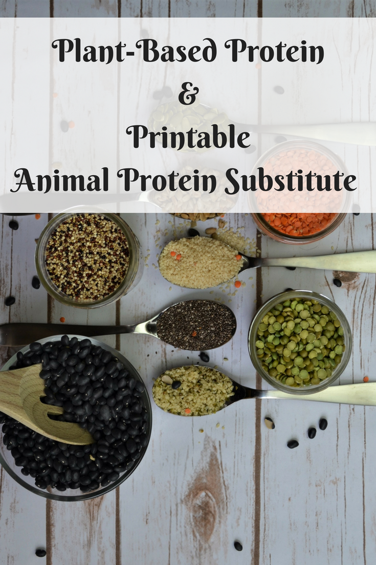 How to Get Adequate Plant-Based Protein, Animal Protein Substitute Printable