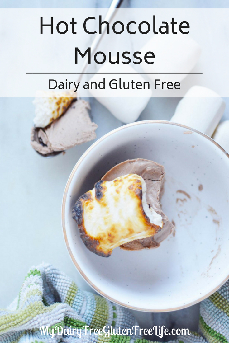 Hot Chocolate Mousse  Dairy and Gluten Free