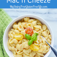 Instant Pot Mac n Cheese Dairy and Gluten Free