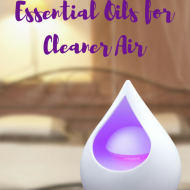 How to Use Essential Oils for Cleaner Air