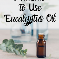 6 Reasons to Use Eucalyptus Essential Oil
