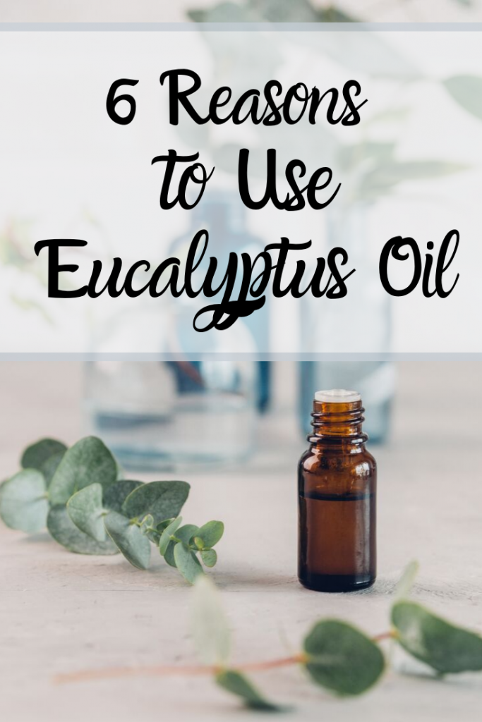 6 Reasons to Use Eucalyptus Essential Oil