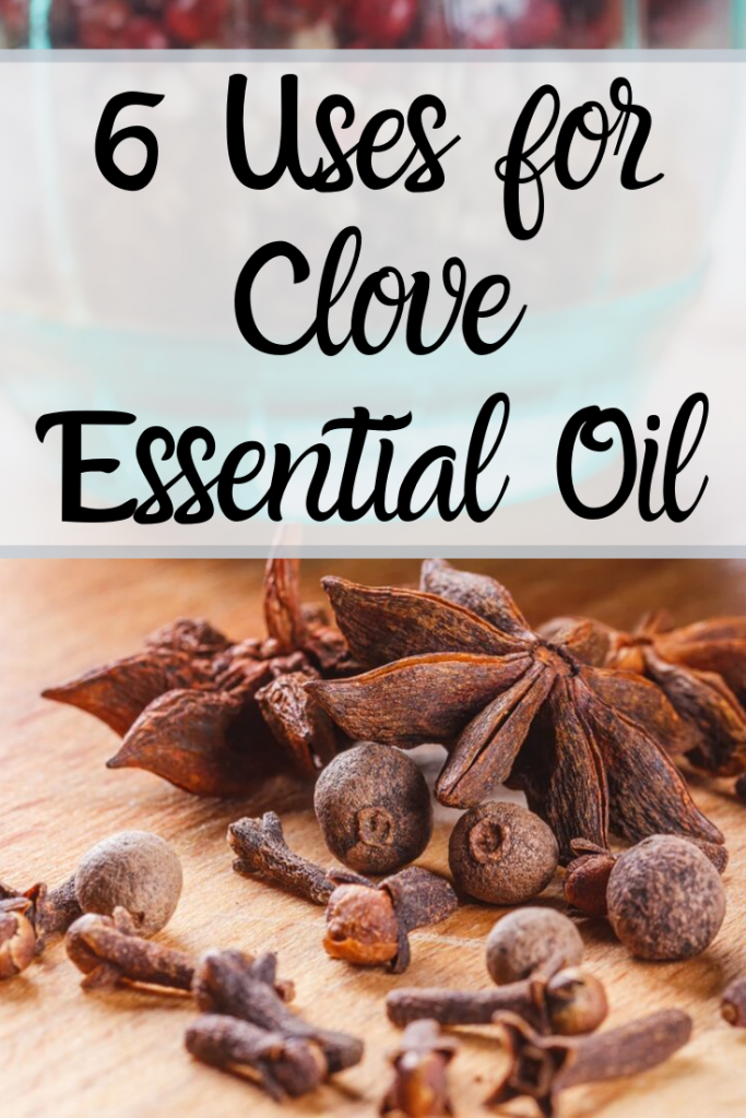 6 Uses for Clove Essential Oil
