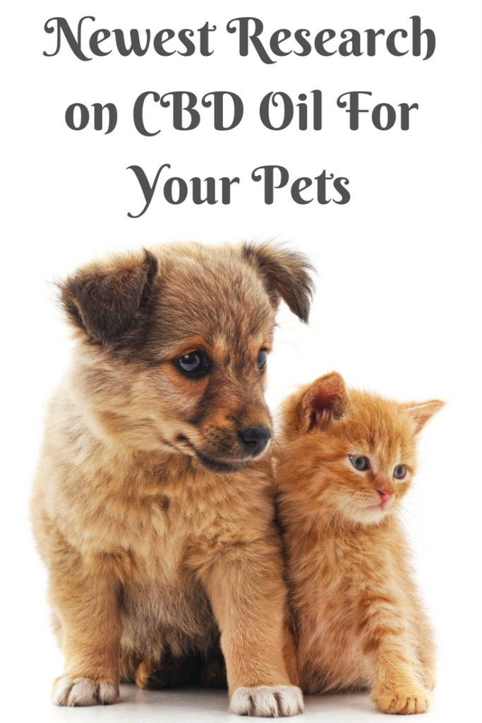 Newest Research on CBD Oil for your pets