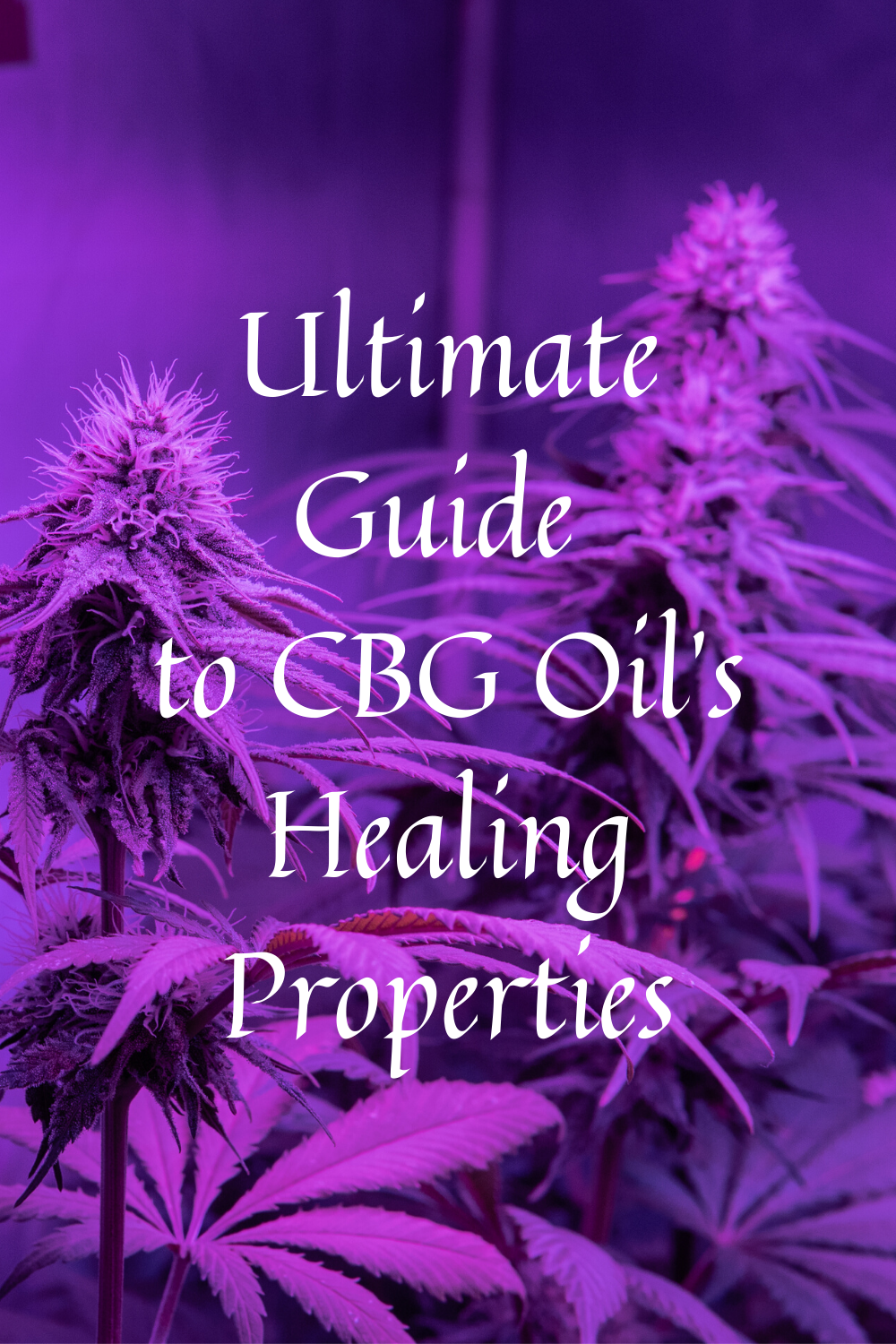 Ultimate Guide to CBG Oil’s Healing Properties